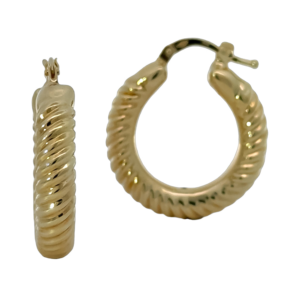 Twisted Hoop Earrings