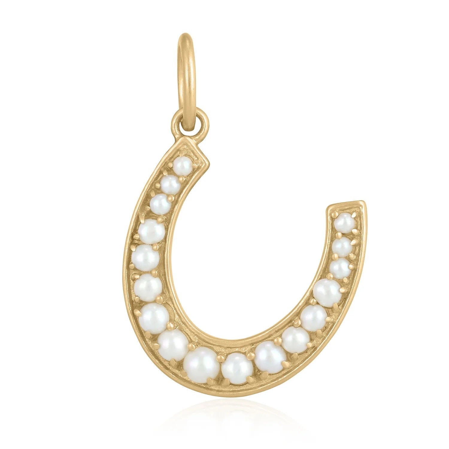 Horseshoe Charm