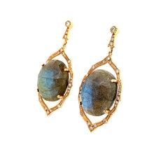 Labradorite Drop Earring