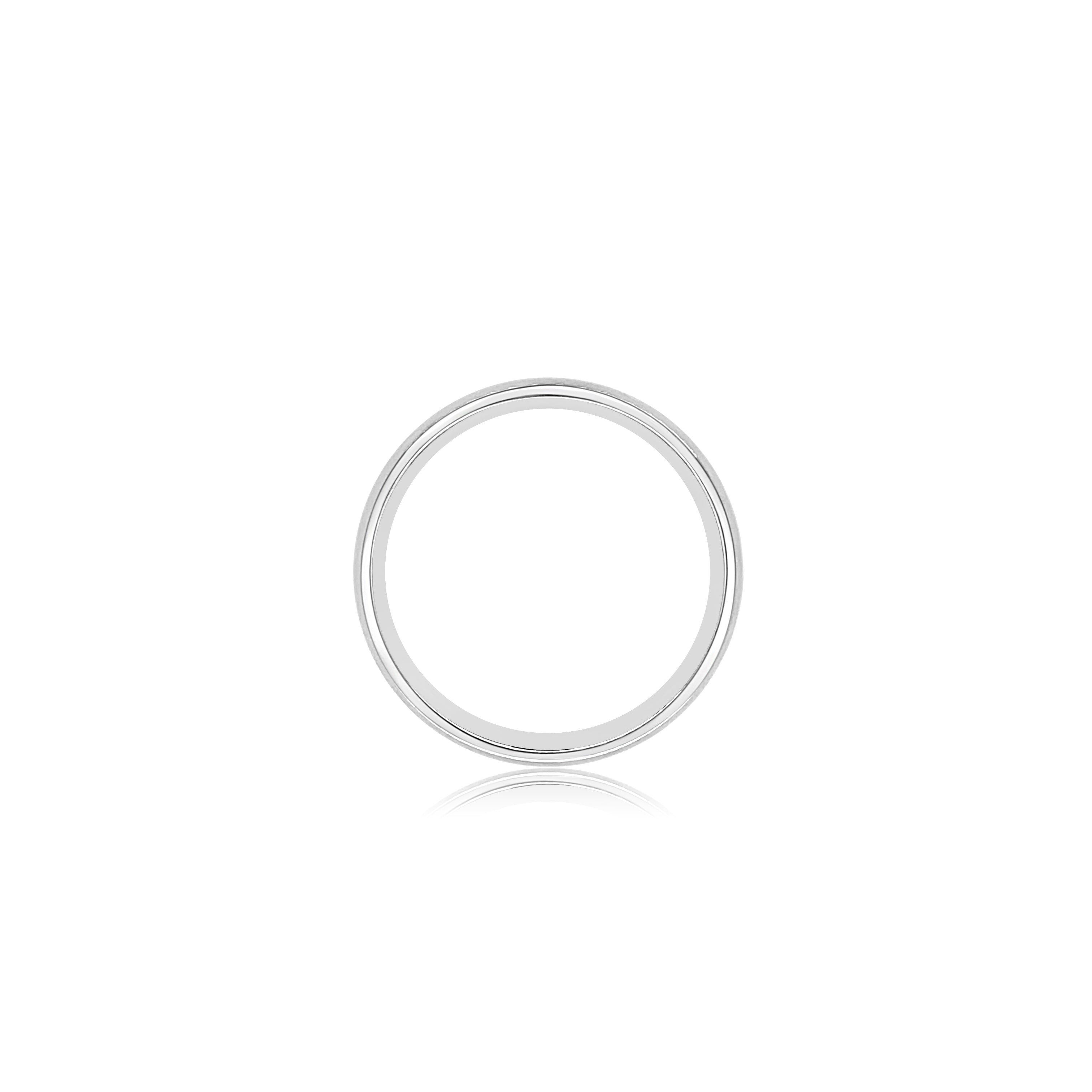 Men's matte finish and shiny wedding band